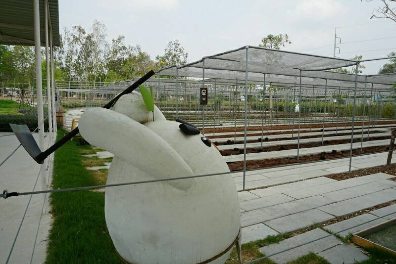 CORO FIELD สวนผึ้ง จังหวัดราชบุรี ที่มีฟาร์มในการปลูกผลเมล่อน