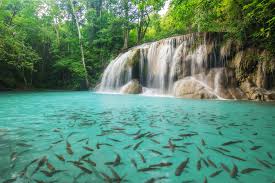 น้ำตกเอราวัณ สถานที่ท่องเที่ยวที่สะอาดมากไม่มีขยะเลย ภายในน้ำก็จะมีปลาพลวง ตัวสีน้ำตาลทั้งตัวเล็กและตัวใหญ่ 