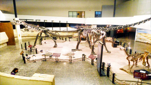 พิพิธภัณฑ์ไดโนเสาร์ภูเวียง ค่าเที่ยวชม
